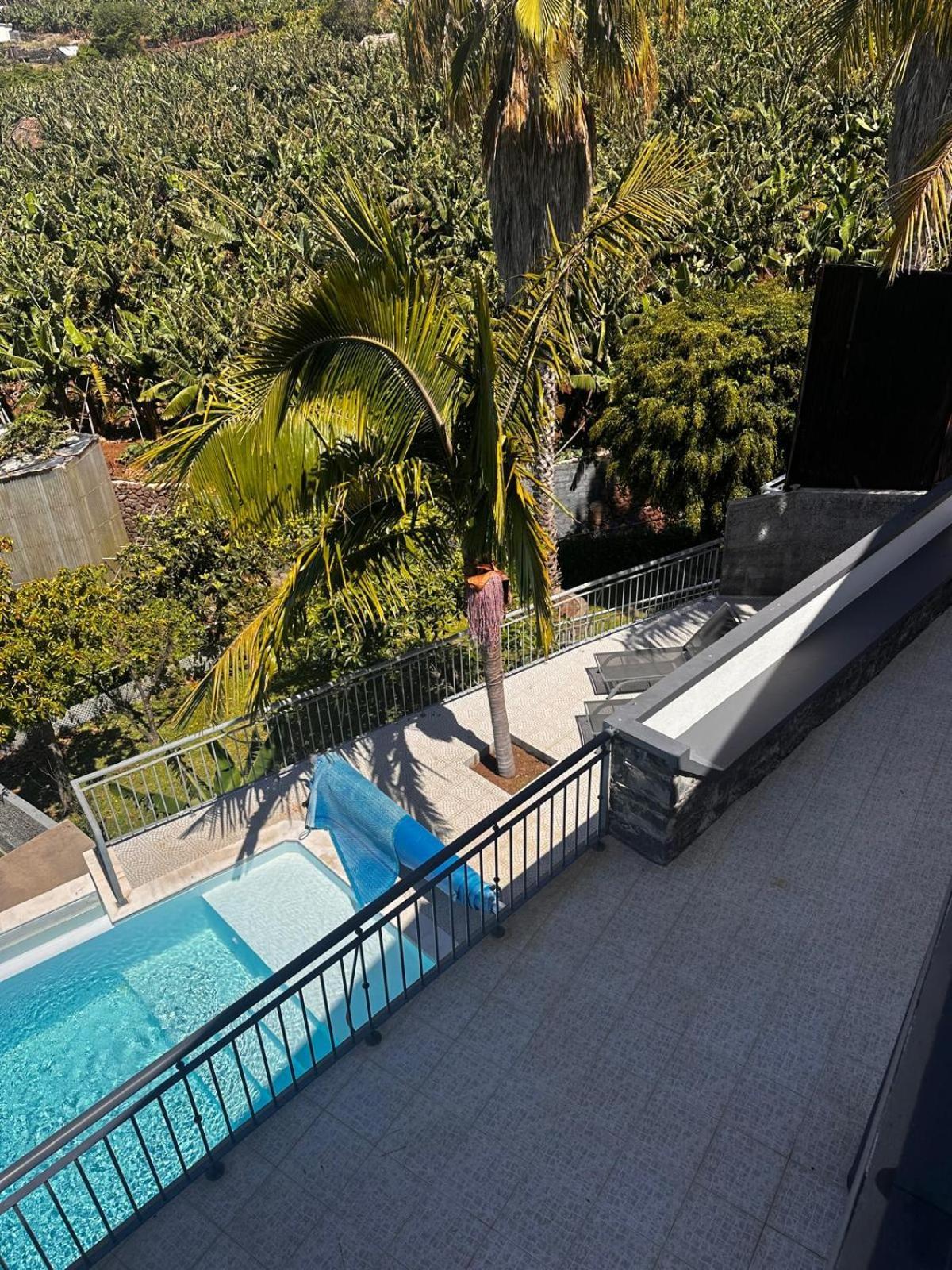Villa Felicidade Arco da Calheta  Ngoại thất bức ảnh